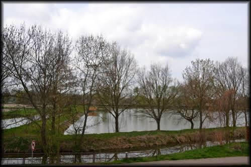 Penzion U Kohoutka Pardubice Ngoại thất bức ảnh